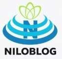 عاشقانه های یک دختر عاشق